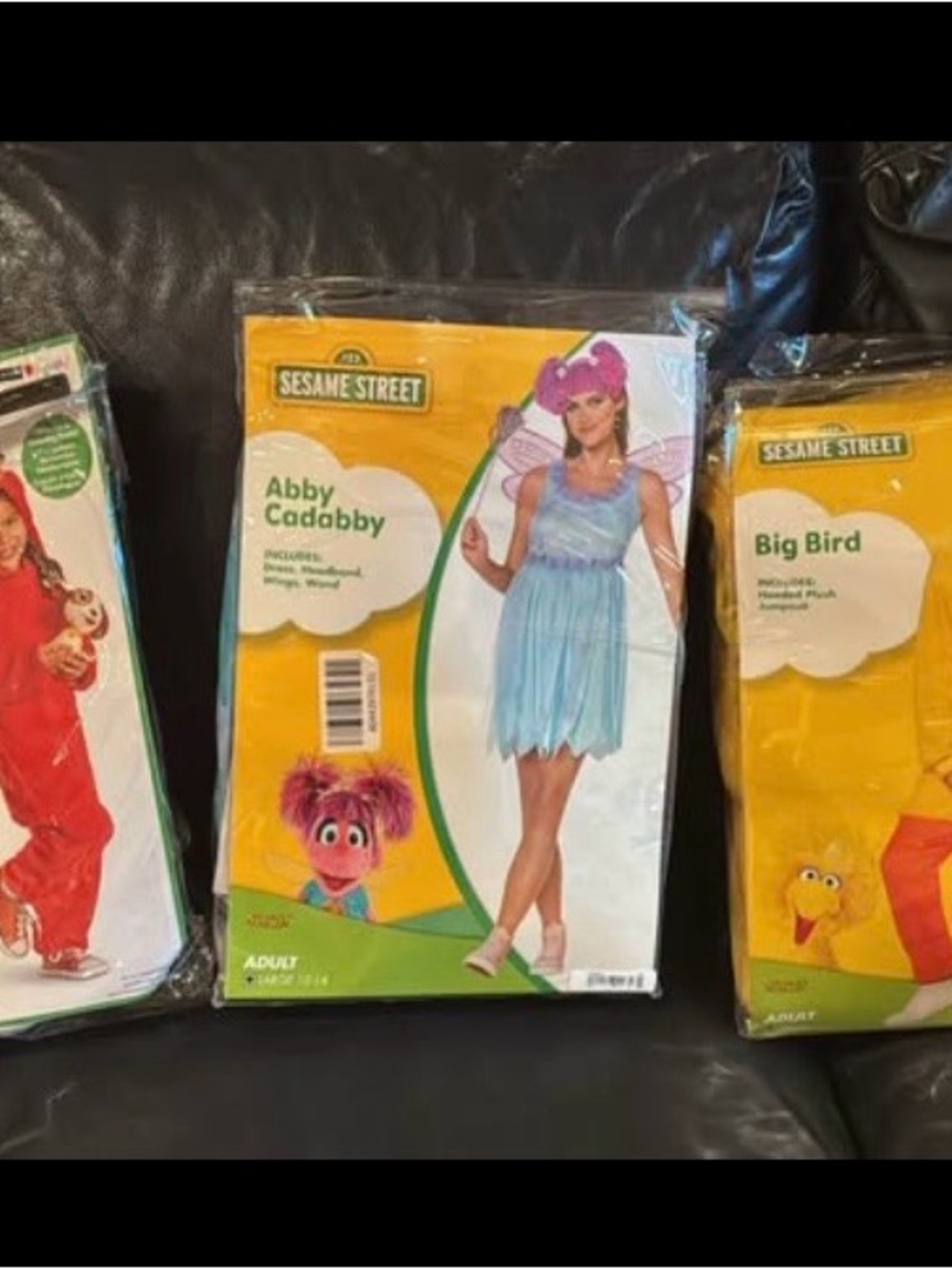 Sesame Street Family Costumes